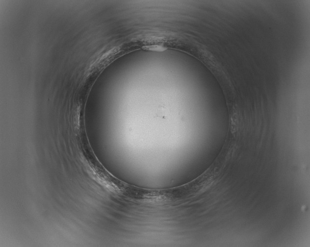 X0000076310454200610201617