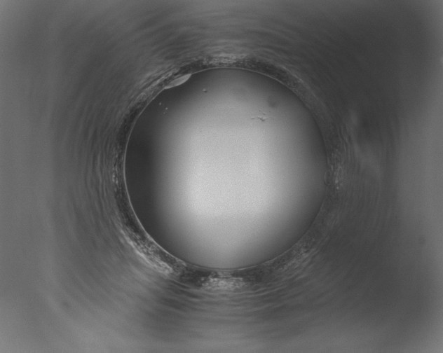 X0000076310455200610201617