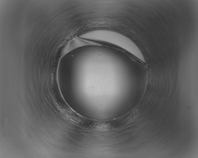 X0000076310456200610201617