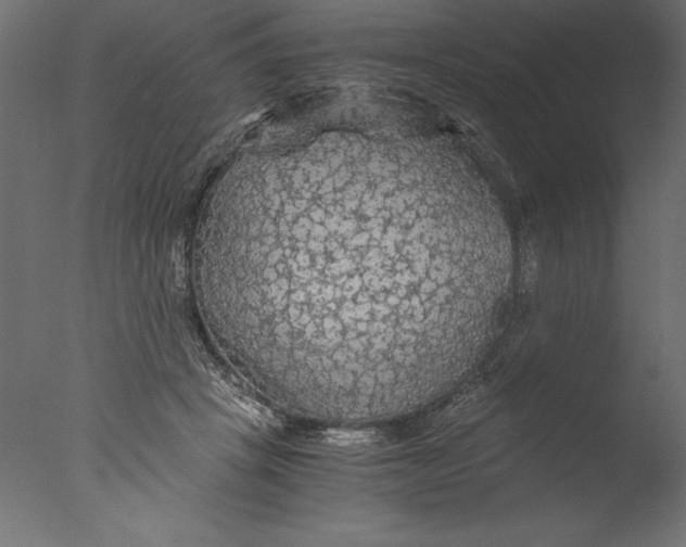 X0000076310457200610201617