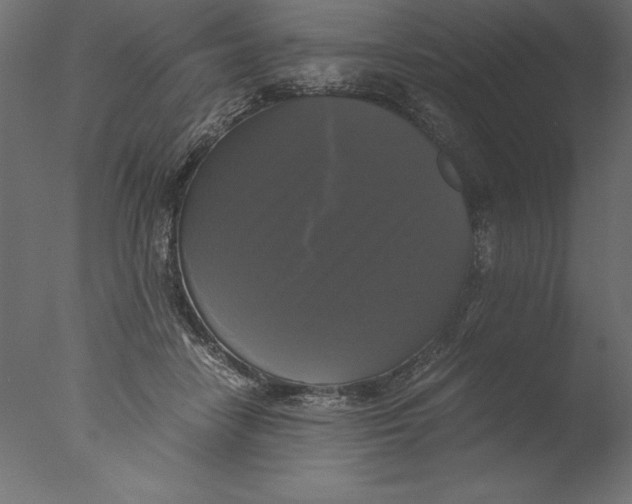 X0000076310458200610201617