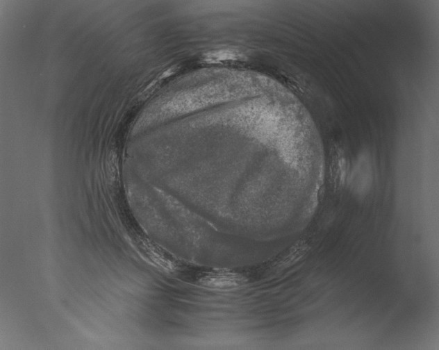 X0000076310459200610201617