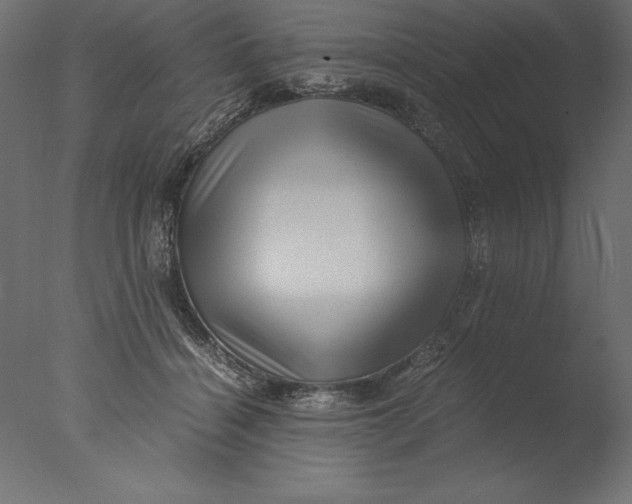 X0000076310460200610201617