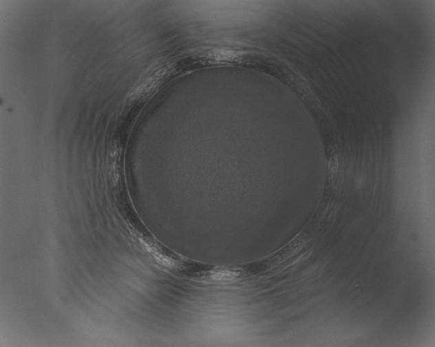 X0000076310462200610201617