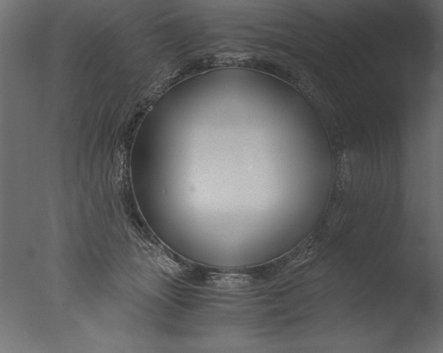 X0000076310463200610201617