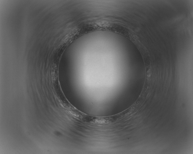 X0000076310464200610201617