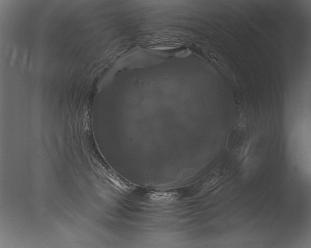 X0000076310465200610201617