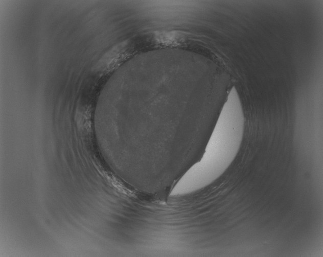 X0000076310466200610201617