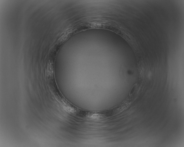 X0000076310467200610201617