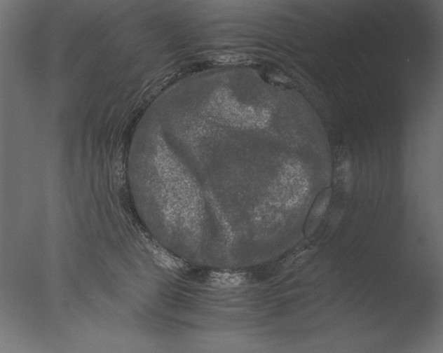 X0000076310469200610201617