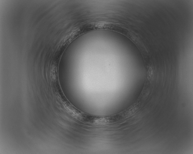 X0000076310470200610201617