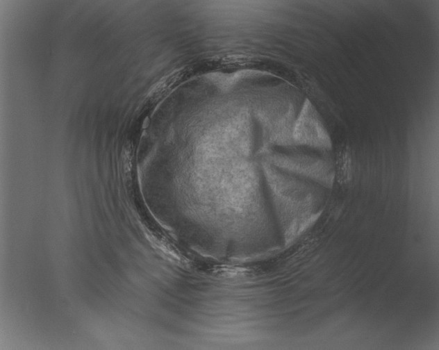 X0000076310472200610201617