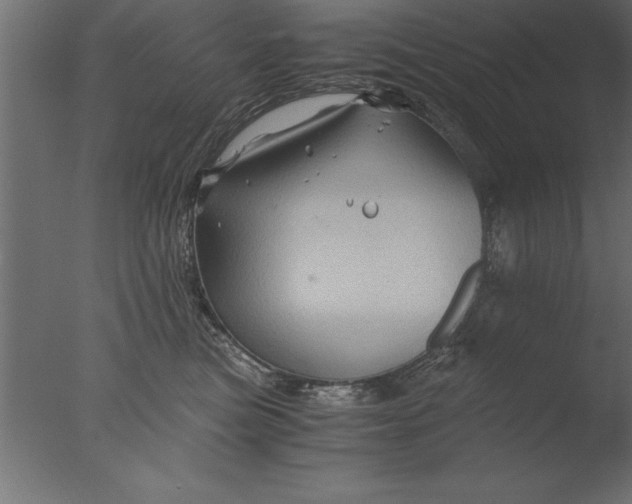 X0000076310473200610201617