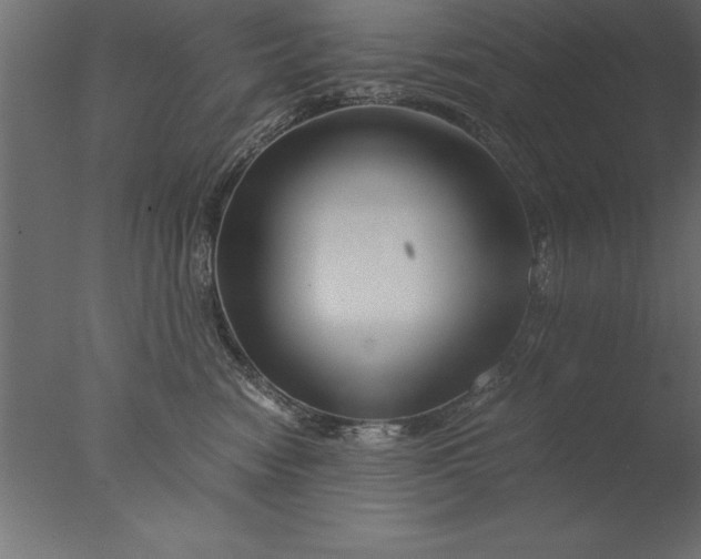 X0000076310474200610201617