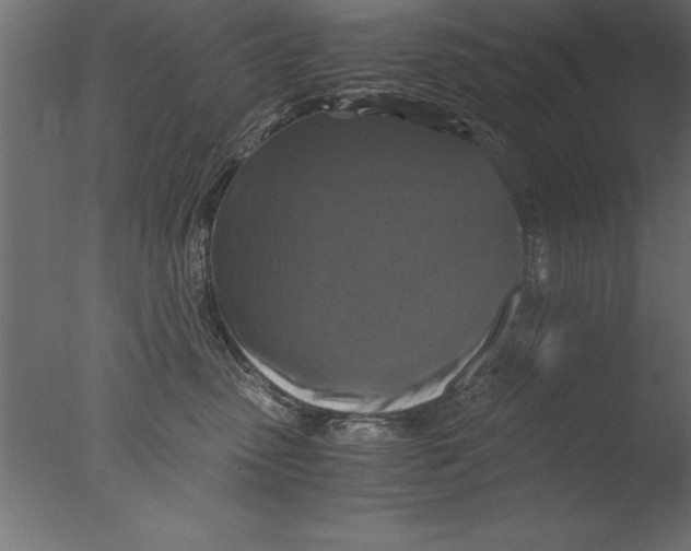 X0000076310475200610201617