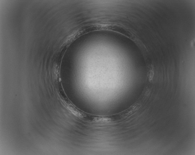 X0000076310476200610201617