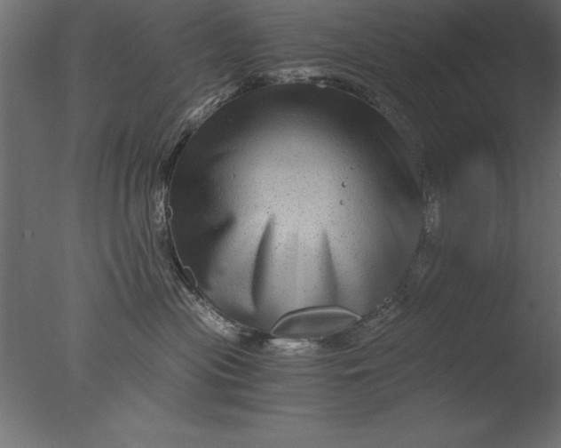 X0000076310477200610201617