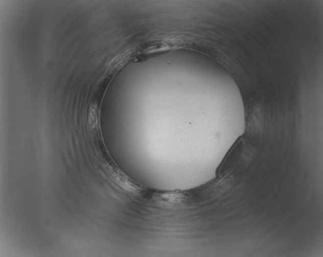 X0000076310478200610201617