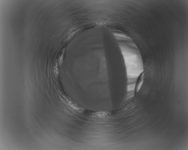 X0000076310479200610201617