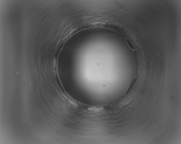 X0000076310480200610201617