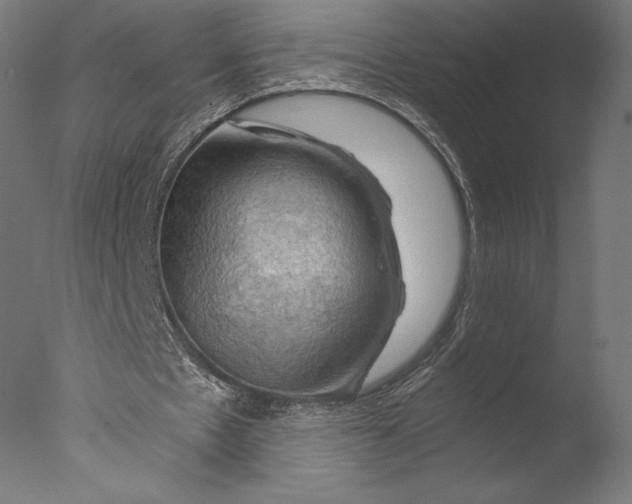 X0000076310481200610201616