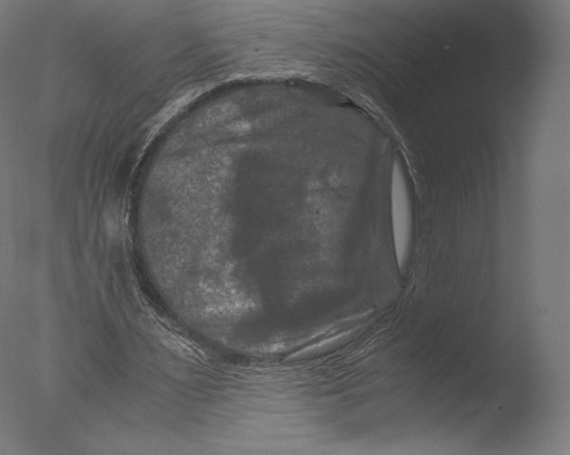 X0000076310483200610201616