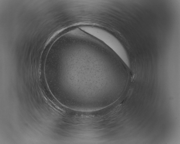 X0000076310484200610201616