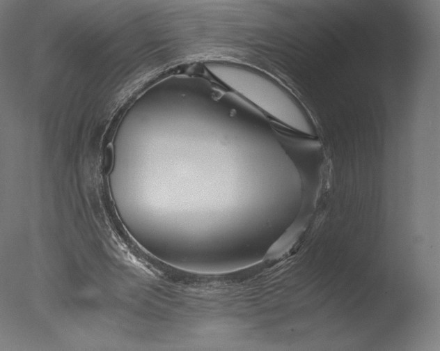 X0000076310485200610201616