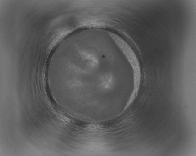 X0000076310487200610201616