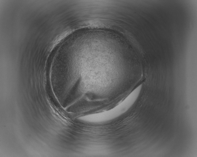 X0000076310488200610201616