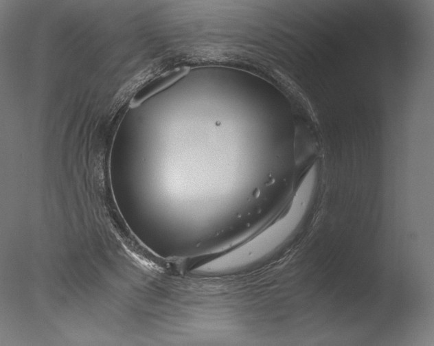 X0000076310489200610201616