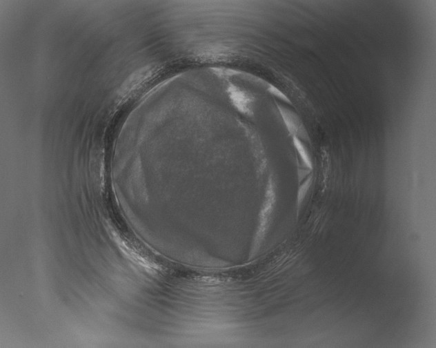 X0000076310494200610201616