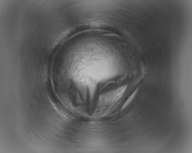 X0000076310496200610201616