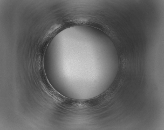 X0000076310498200610201616