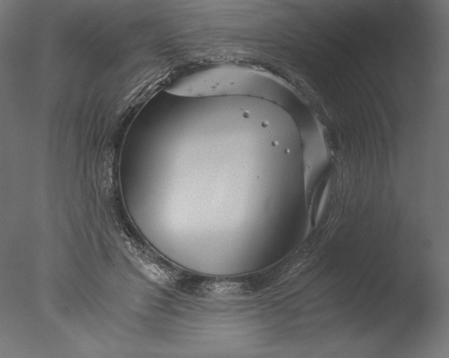 X0000076310501200610201616