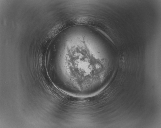 X0000076310504200610201616