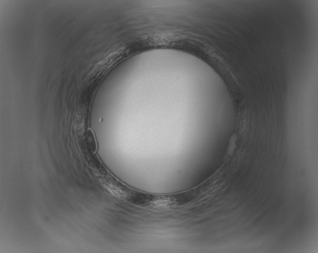 X0000076310505200610201616