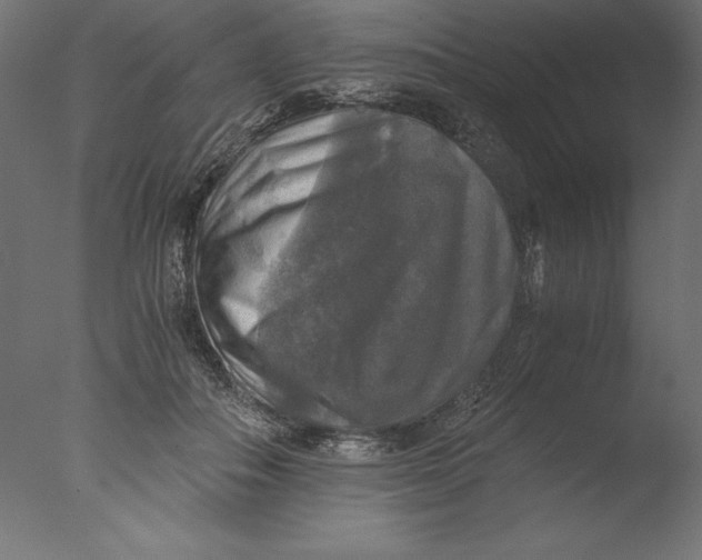 X0000076310506200610201616