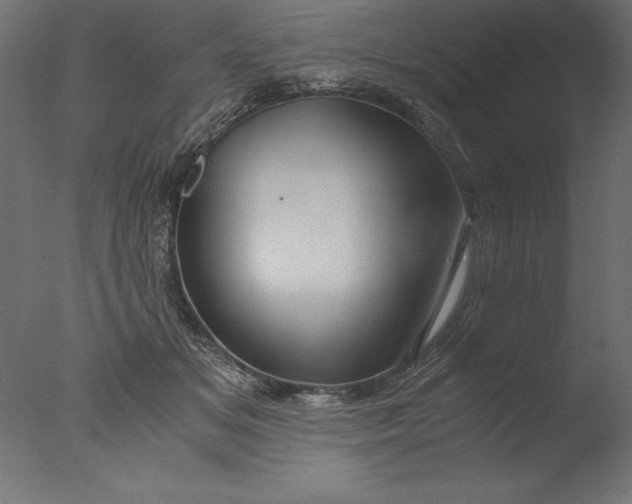 X0000076310509200610201616