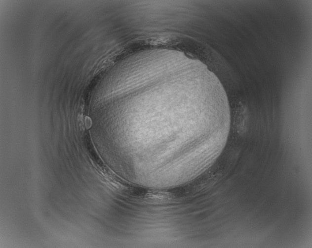 X0000076310510200610201616