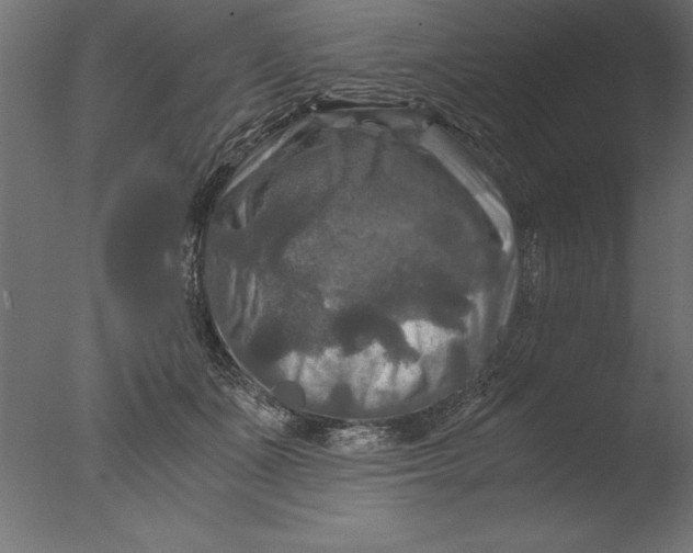 X0000076310511200610201616