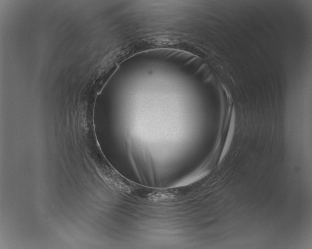 X0000076310512200610201616