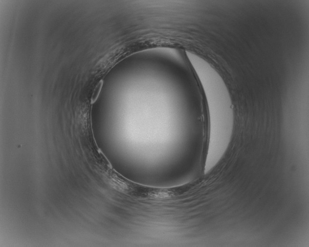 X0000076310513200610201616