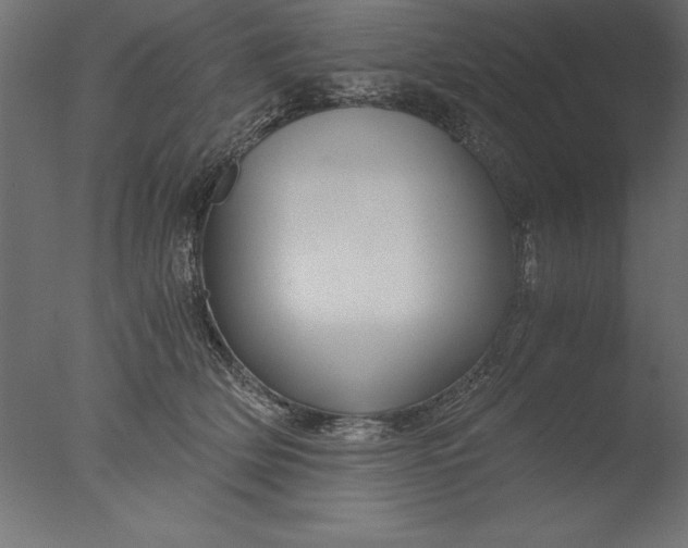 X0000076310514200610201616