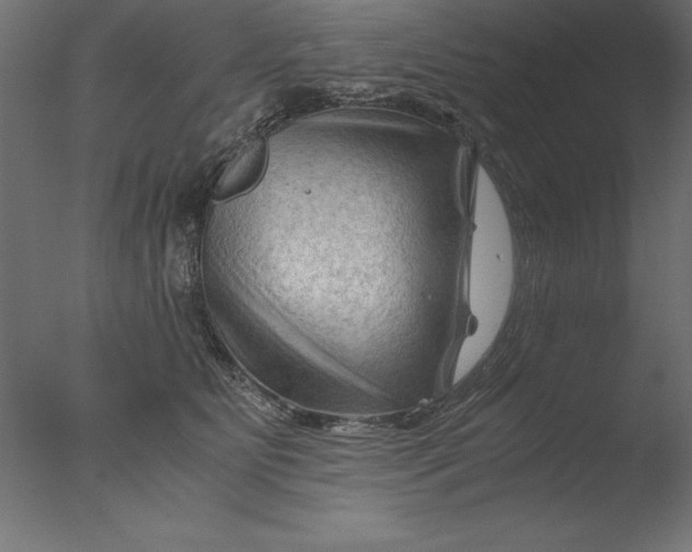 X0000076310515200610201616