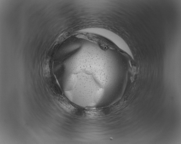 X0000076310516200610201616