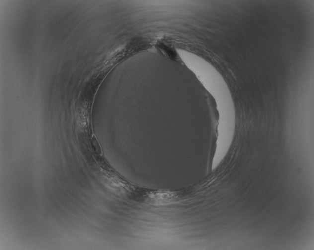 X0000076310517200610201616