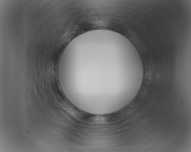 X0000076310518200610201616