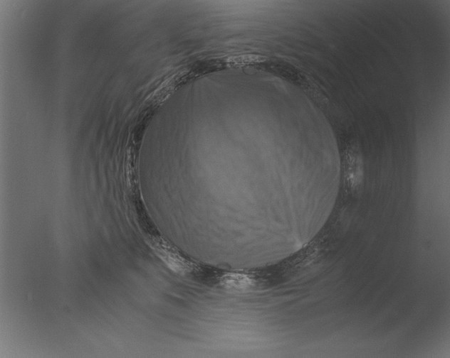 X0000076310519200610201616