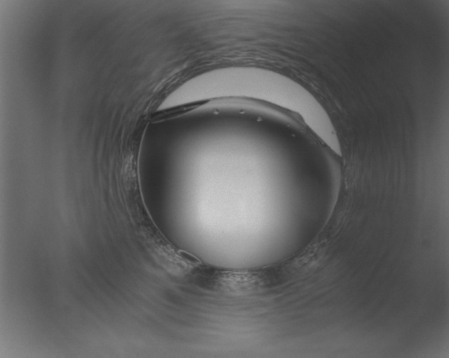 X0000076310521200610201616